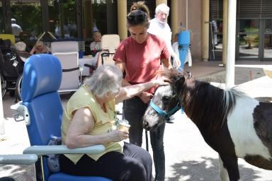 Deux personnes caressent un poney