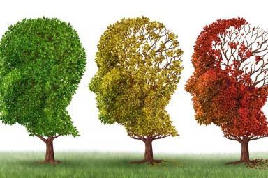 Trois arbres taillés en forme de visage humain aux couleurs du printemps, de l'automne et de l'hiver, représentant progressivement la dégénérescence liée à la maladie d'Alzheimer