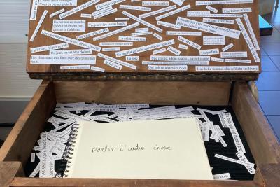 Action culturelle « A fleur de peau » menée par les artistes de la Compagnie Mises en scène auprès des résidents des Unités de Soins de Longue Durée - Agrandir l'image 7 sur 9, fenêtre modale