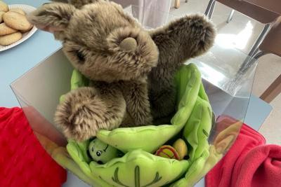 Don de jouets de l'Association Les Blouses Roses en faveur des enfants hospitalisés en Pédiatrie - Agrandir l'image 5 sur 5, fenêtre modale