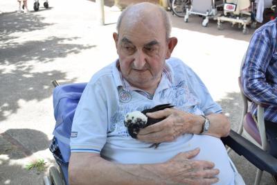 une personne tient un oiseau - Agrandir l'image 6 sur 8, fenêtre modale