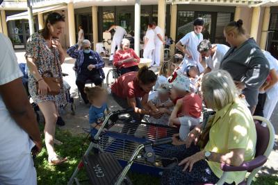 Plusieurs personnes sont autour d'un cochon d'inde - Agrandir l'image 4 sur 8, fenêtre modale