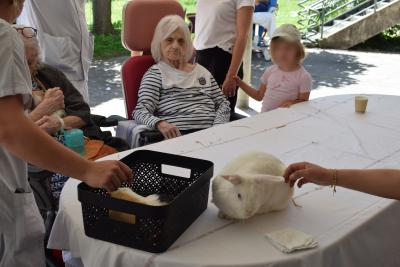 Des personnes sont autour de deux lapins - Agrandir l'image 2 sur 8, fenêtre modale
