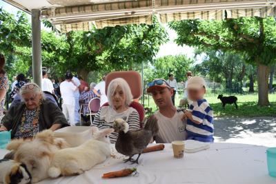 Des personnes sont autour de plusieurs animaux - Agrandir l'image 1 sur 8, fenêtre modale