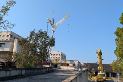Une grue soulève un nouvel appareil d’Imagerie par Résonance Magnétique (IRM) pour la livrer dans les locaux du service d'imagerie du Centre Hospitalier d'Avignon - Agrandir l'image, fenêtre modale
