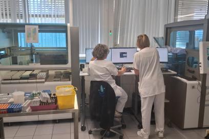 Agrandir l'image, fenêtre modale